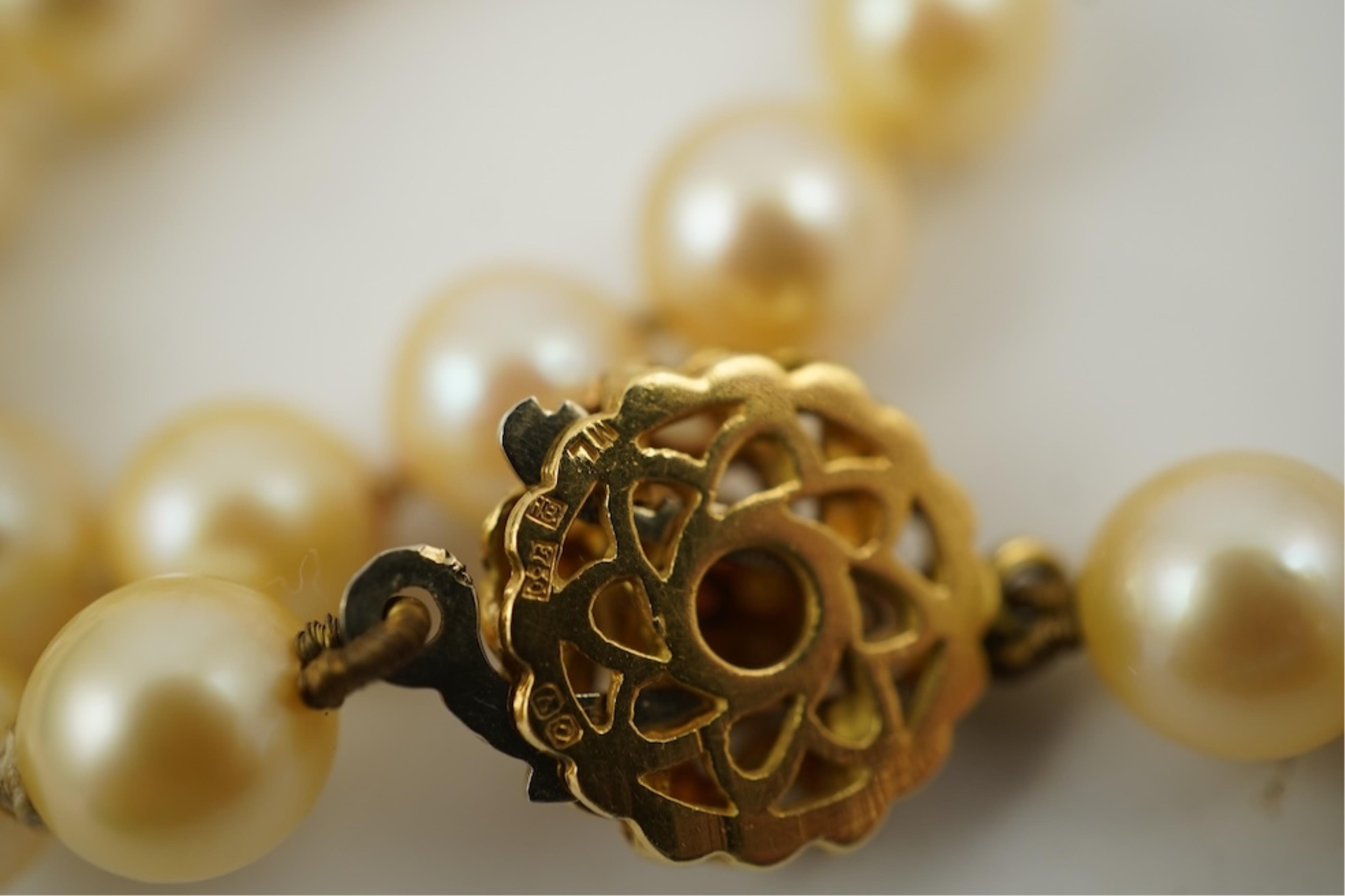 A single strand cultured pearl necklace, wit an 18ct gold, ruby and seed pearl cluster set clasp, 40cm.